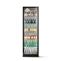 Шкаф холодильный для напитков Sovital EAZY 600 NFD INDOOR